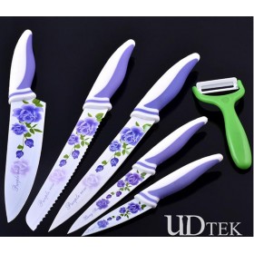 6pcs per set stainless steel Rose Korean fashion printed kitchen chef knife UDTEK3001 